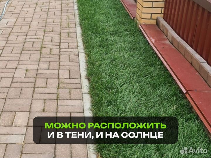 Рулонный газон Спорт. От производителя