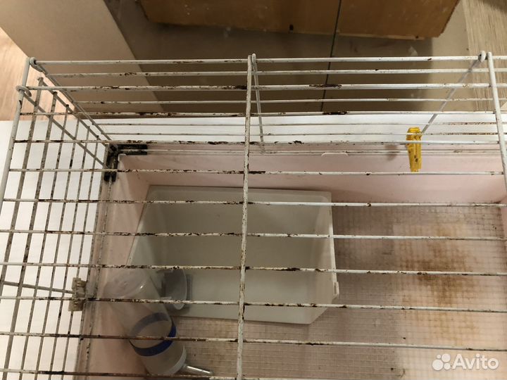 Клетка для кролика б/у