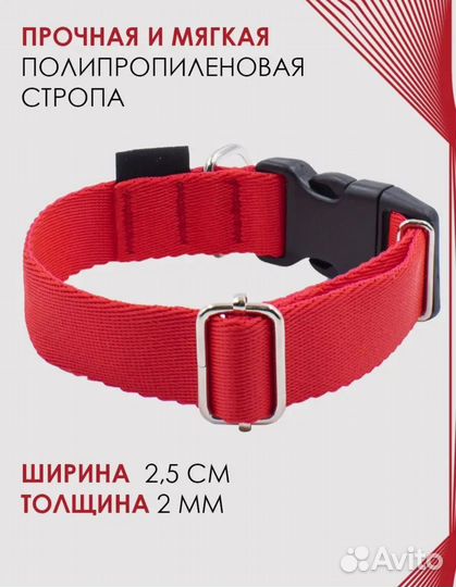 Ошейник для собак