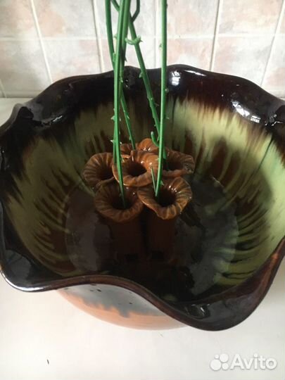 Цветочные горшки, алоэ