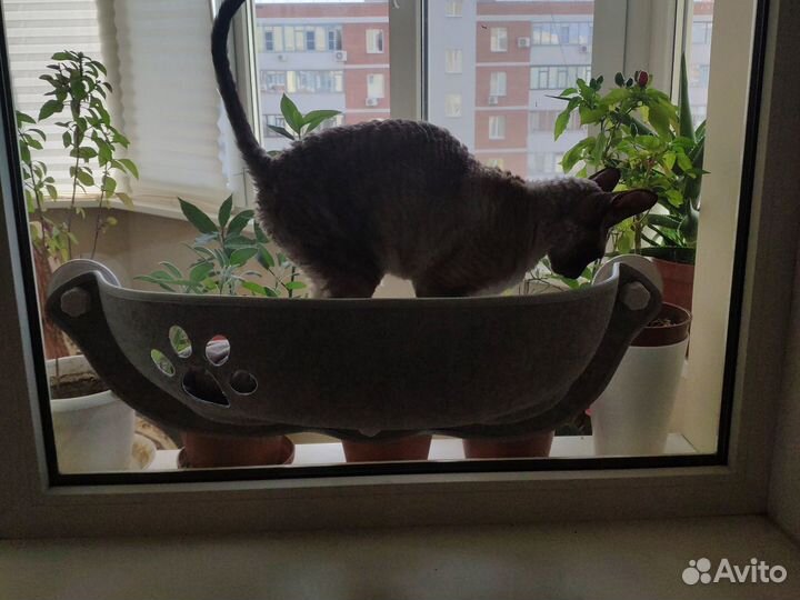 Оконная лежанка - гамак для кошек