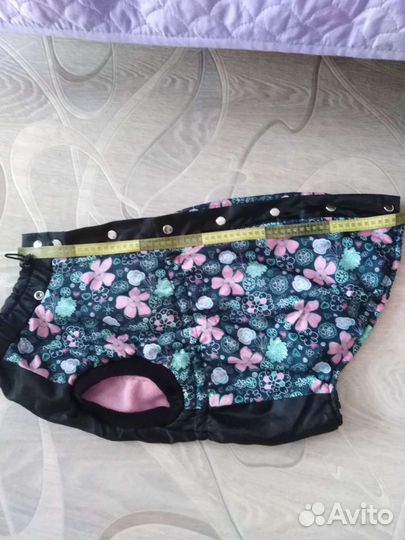 Одежда для собак