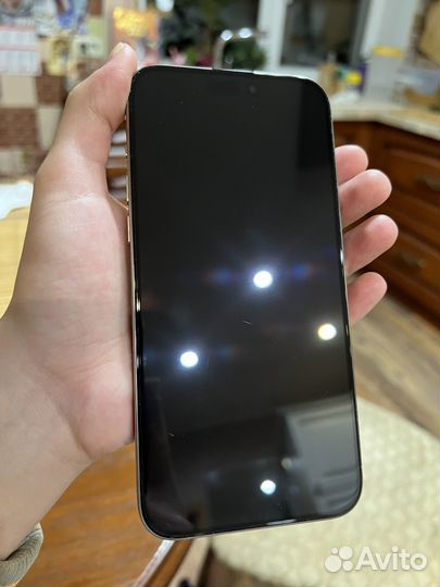 iPhone 15 Pro Max, 256 ГБ