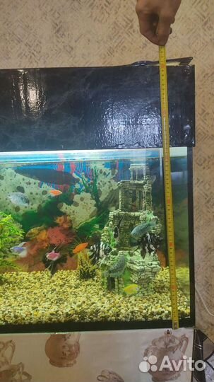 Аквариум