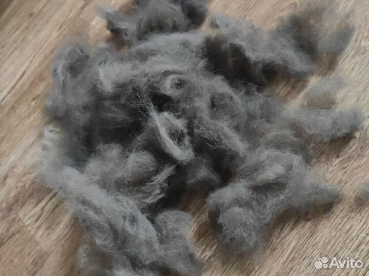 Собачья шерсть. Шерсть с Тибетского мастифа