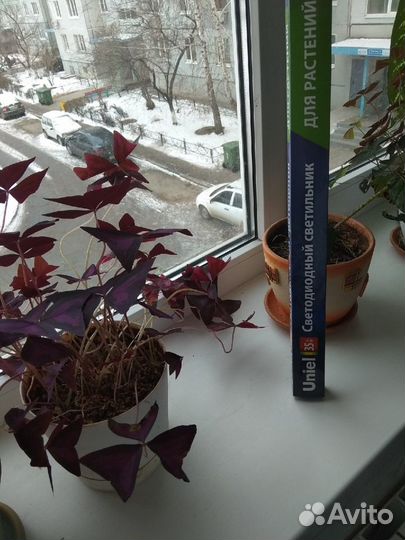 Фитосветильник для растений Uniel ULI-P13-35W