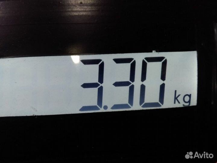 Диск тормозной задний для Ford Focus 1 1780880