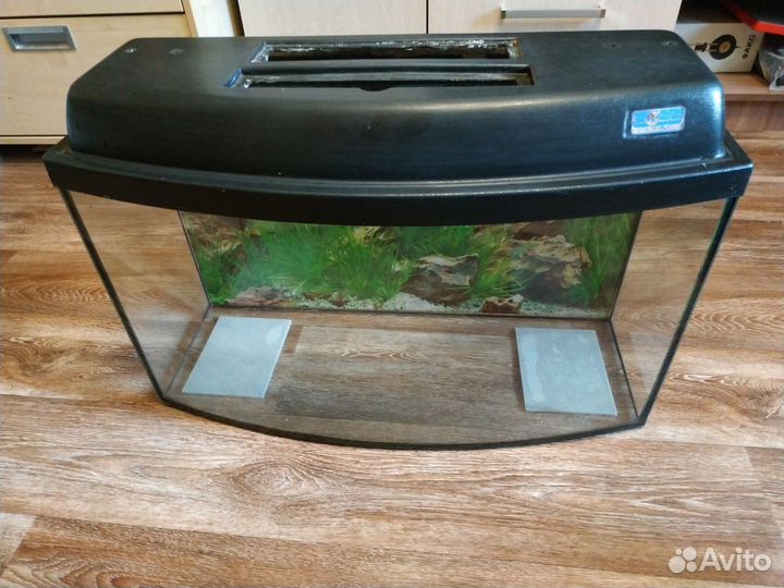 Аквариум (протекающий)