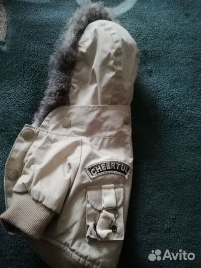 Комбинезон на маленькую собачку