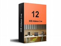 Ableton Live 12 лицензия с оф. сайта