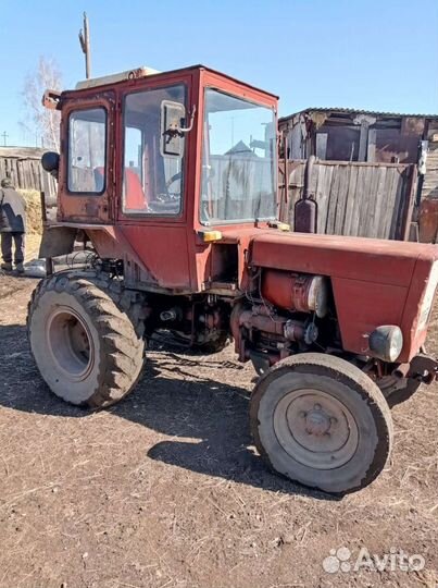 Трактор ВТЗ Т-25А, 1981
