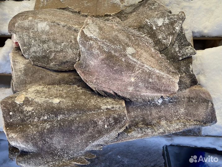 Палтус с/м синекорый 1-2