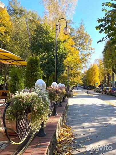 Экскурсии Светлогорск, Калининград