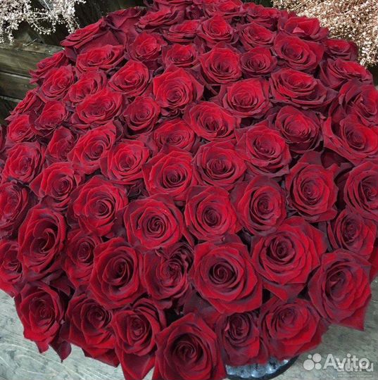 Букет роз 101 роза с доставкой