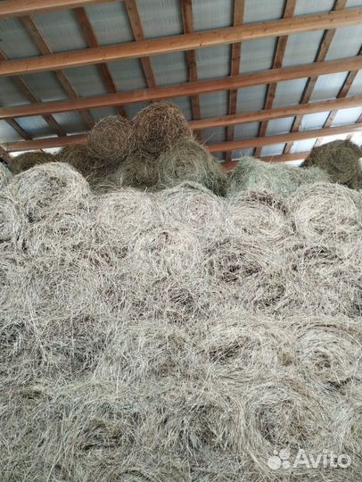 Продам сено в рулонах
