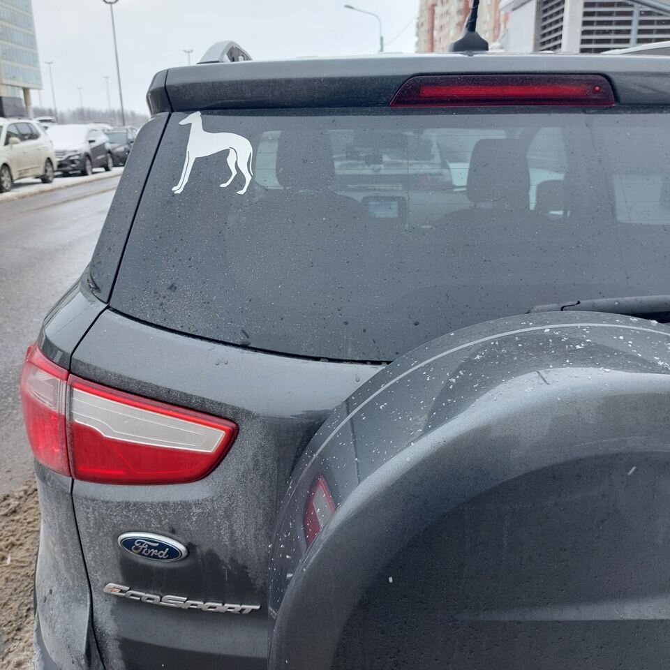Ford EcoSport: фото владельца