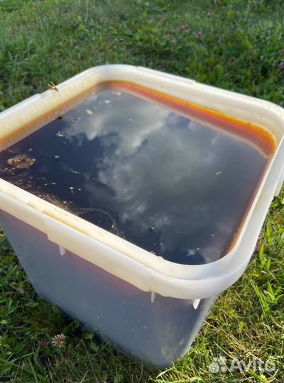 Мед оптом/Доставка по РФ