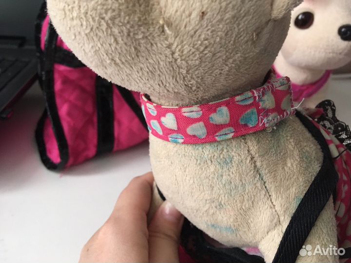 Chi Chi Love оригиналы