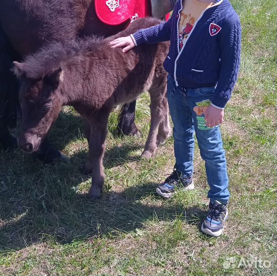 Детские вещи на мальчика