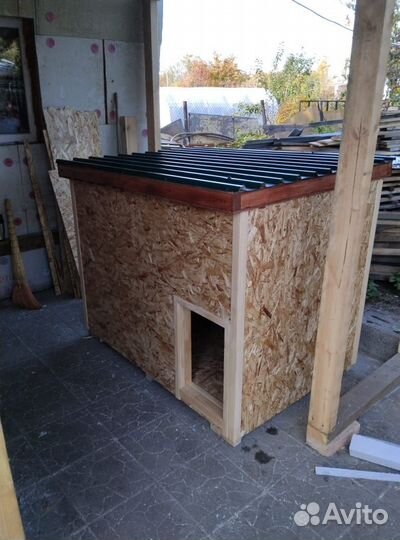 Собачья будка и гнезда для несушек