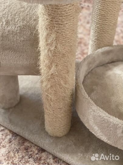 Когтеточка для кошек