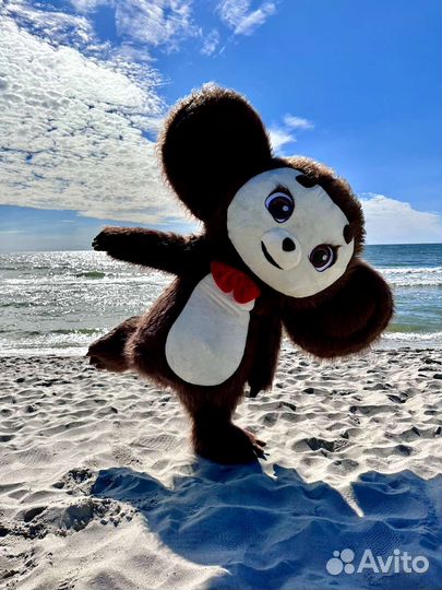 Чебурашка, аниматор, экспресс поздравление