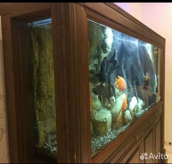 Эксклюзивный аквариум