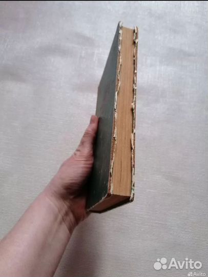 Л. И. Климович Ислам 1965