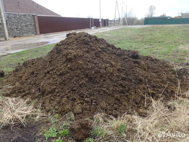 Навоз под клубнику