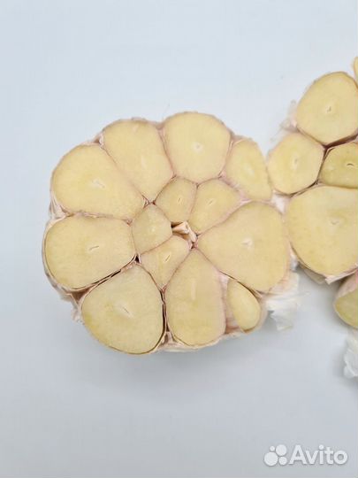 Чеснок яровой на посадку от 5кг