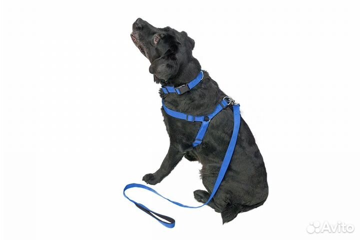 Yami Yami амуниция шлейка 