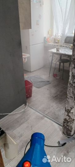 Уничтожение насекомых,запахов,плесени.Озонирование