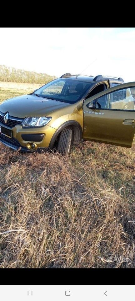 Renault Sandero Stepway: фото владельца