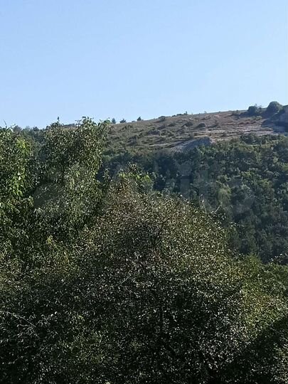 Дом 102 м² на участке 6 сот.