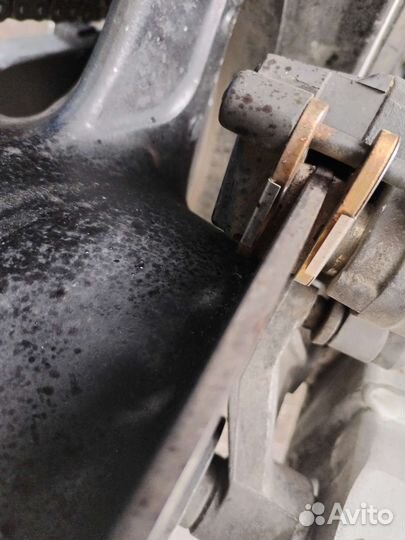 Хонда дрозд 1100хх