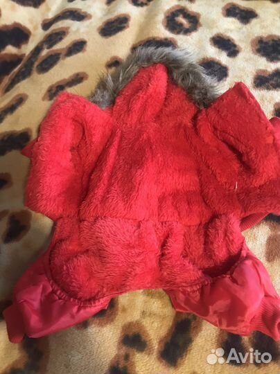 Одежда для собак