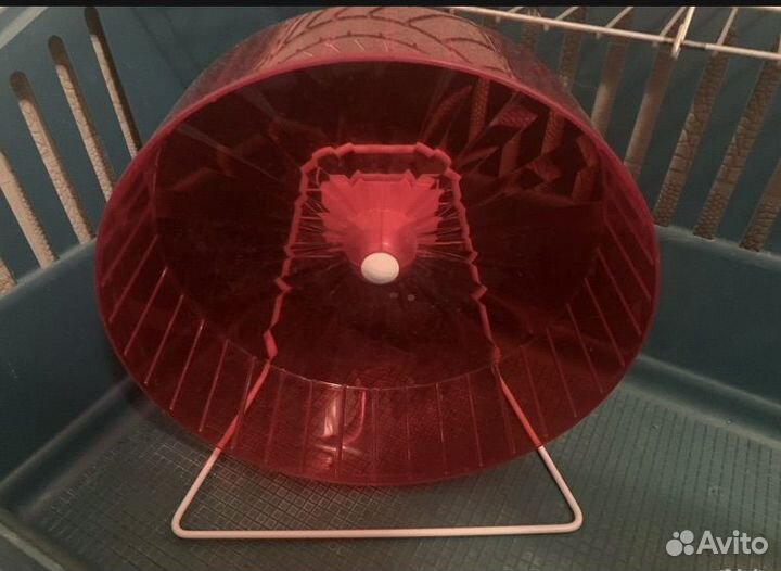 Колесо для грызунов