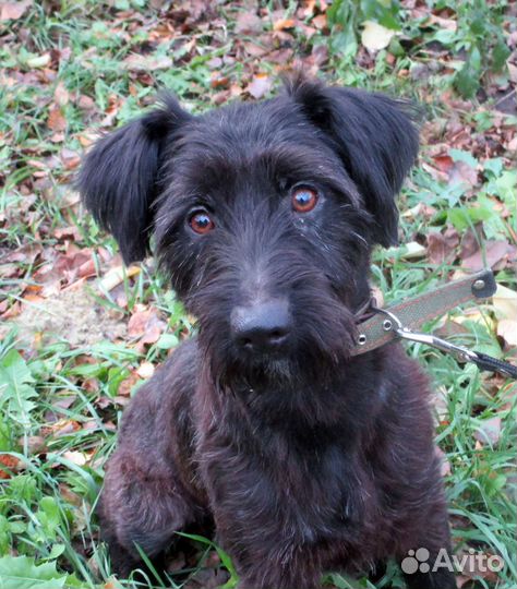 Очаровательный мальчик