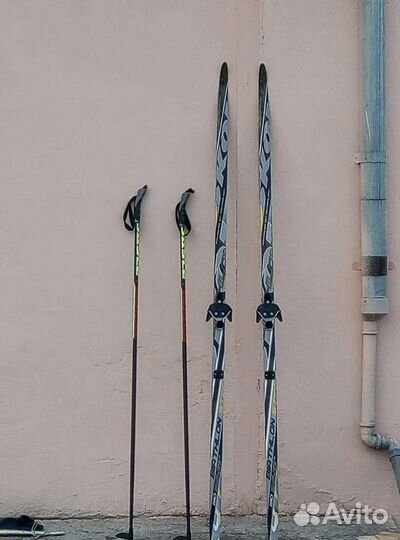 Беговые лыжи