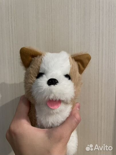 Интерактивная собачка