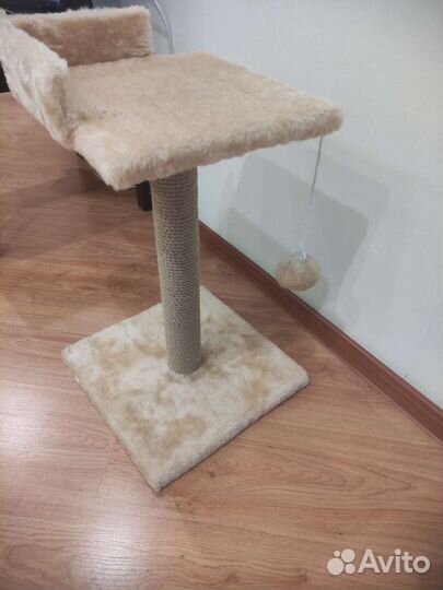 Когтеточка