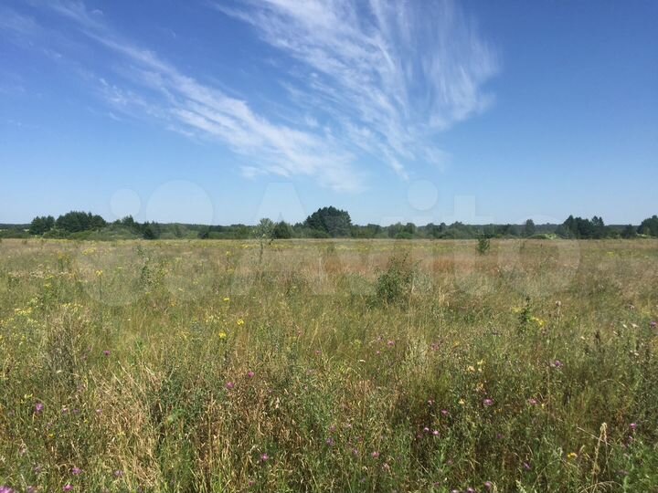 Участок 66,75 га (СНТ, ДНП)