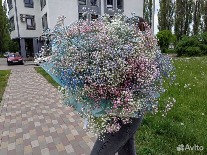 Гипсофила Букеты из гипсофил Доставка