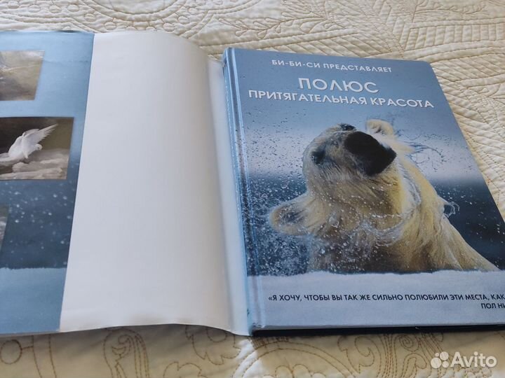 Подарочный альбом книга Полюс. Притягательная