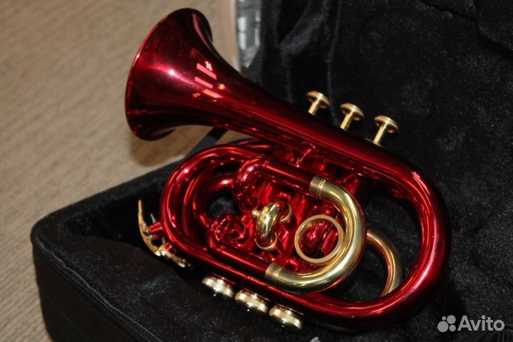 Карманная труба Roy Benson PT-101R