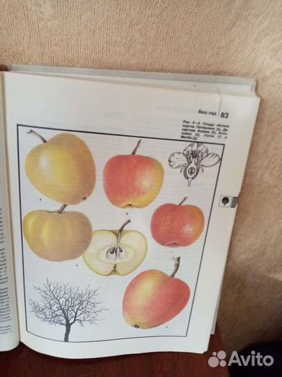 Продам книгу дом И усадьба