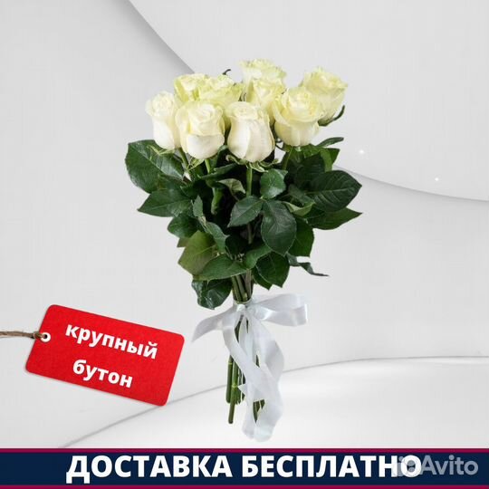 Розы Эквадор - 9 шт. 50 см