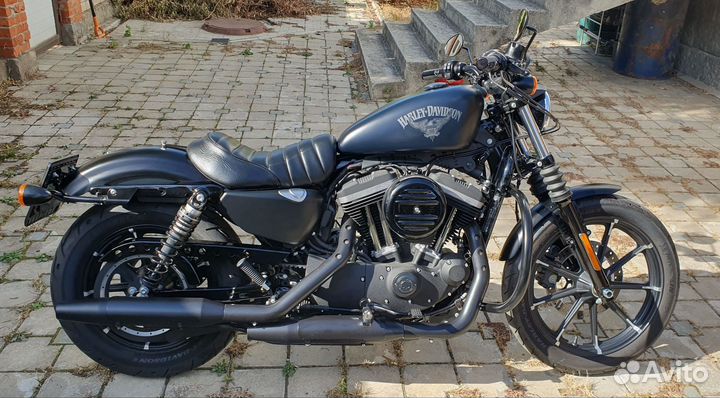 Harley davidson XL883 N sportster iron