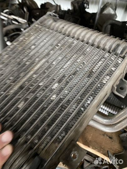 Хендай старекс 06 год интеркуллер