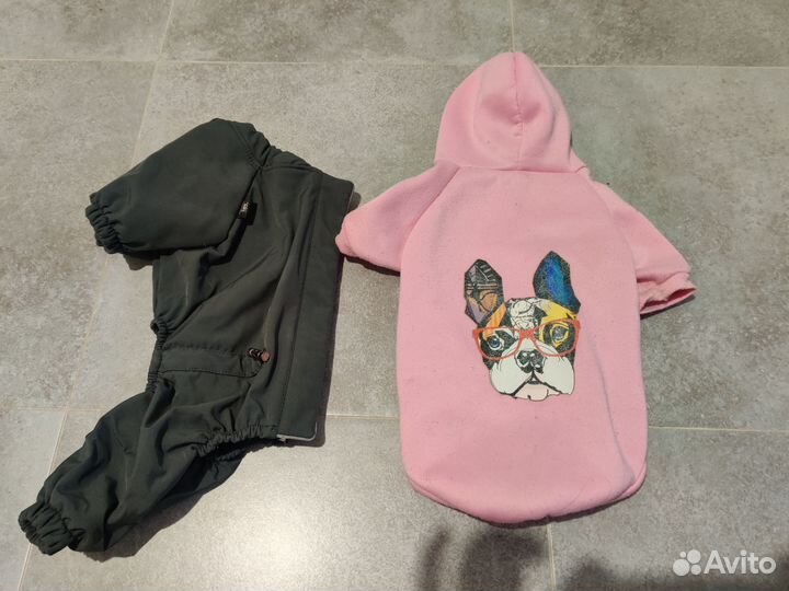 Одежда для собак